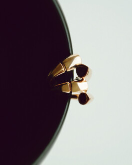 VICTOR BRUN © Selected Work 