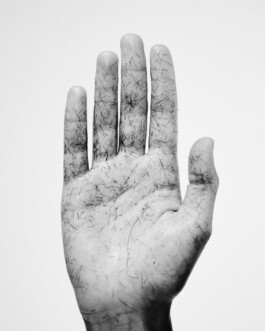 VICTOR BRUN © Selected Work 